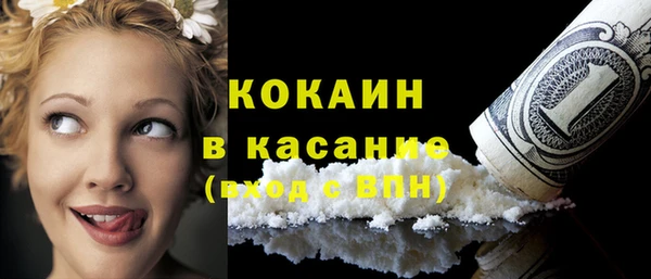 дживик Богородицк