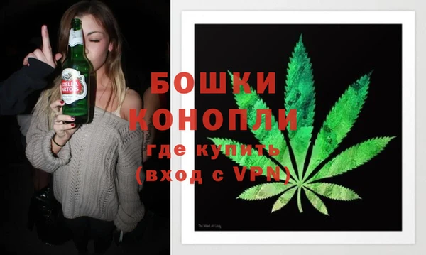 PSILOCYBIN Богородск