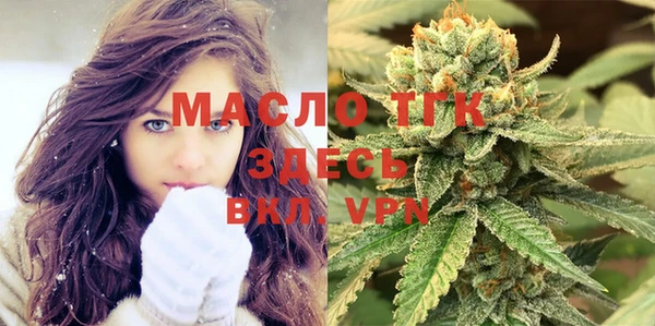 spice Богданович