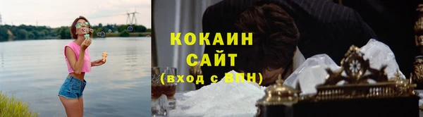 дживик Богородицк