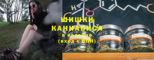 дживик Богородицк