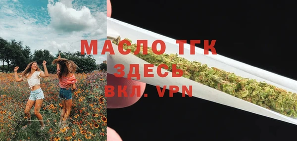 дживик Богородицк