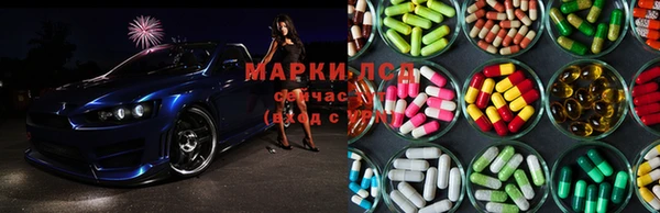 PSILOCYBIN Богородск