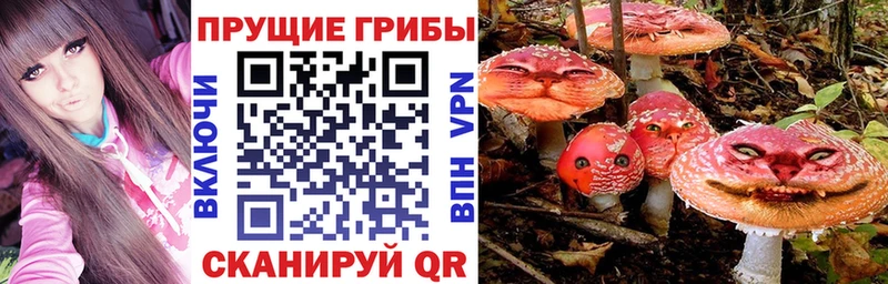 Купить закладки  Купино  Псилоцибиновые грибы ЛСД 